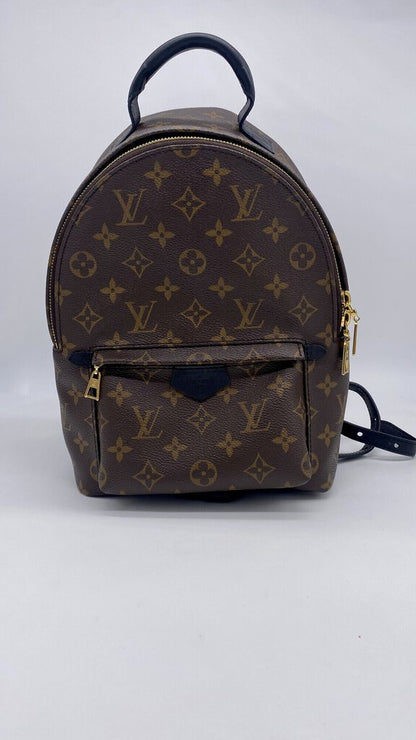 LV Palm Springs Backpack