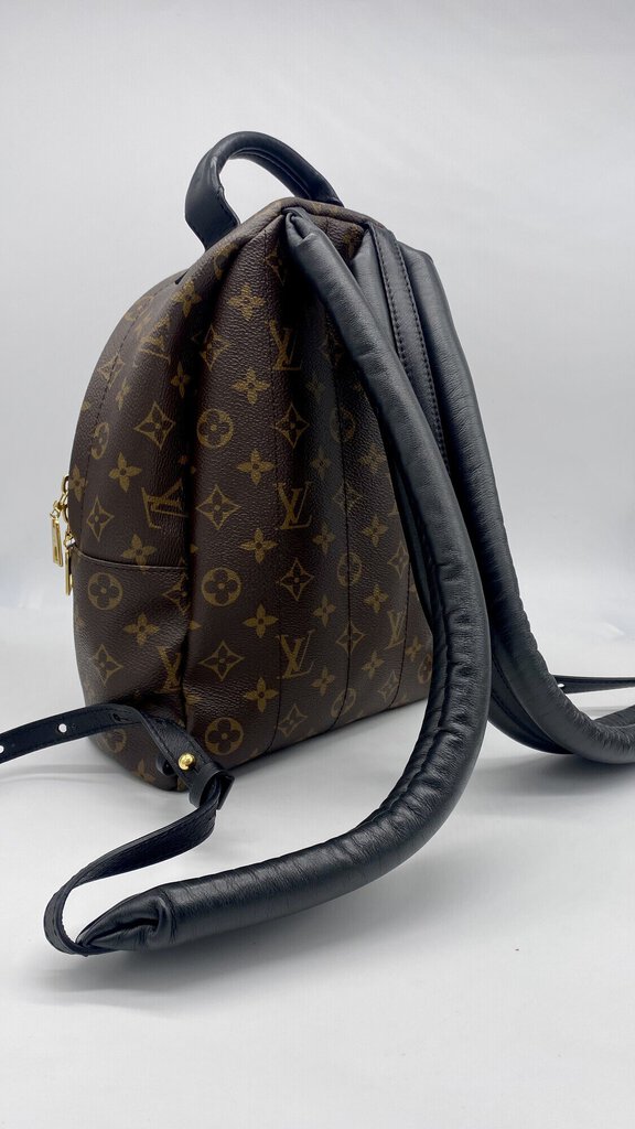 LV Palm Springs Backpack