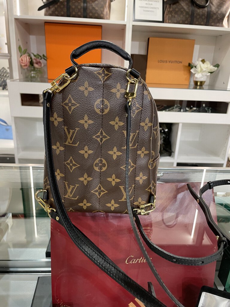 LV Palm Spring Mini Backp