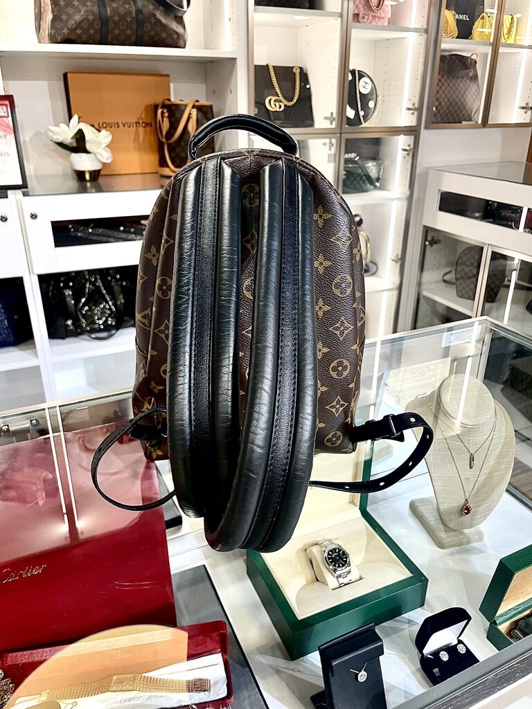 LV Palm Springs Backpack